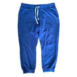 J. Crew Sweatpants Joggers Navy Blue Large